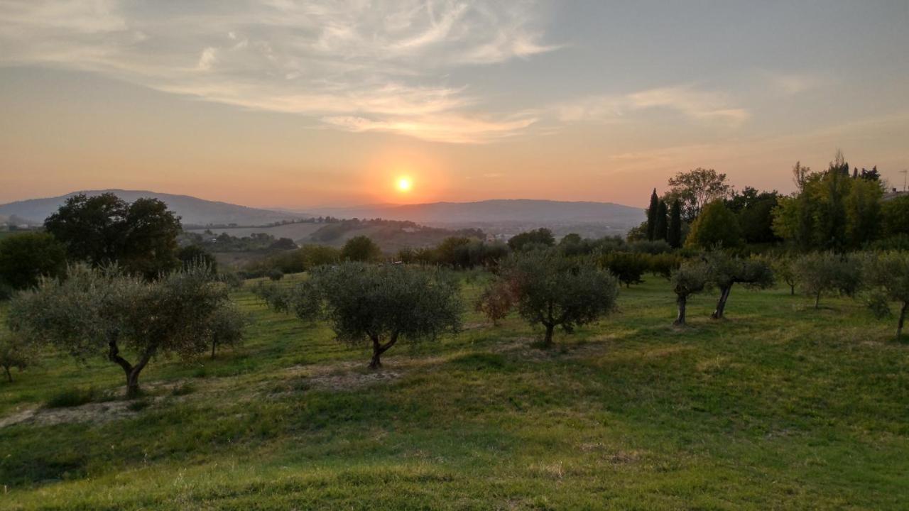 La Maggiolina Country House Montelabbate Екстер'єр фото